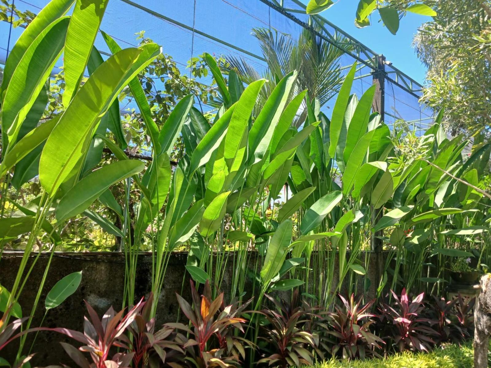 Sukawati Kartika Dahayu Private Pool Villas מראה חיצוני תמונה