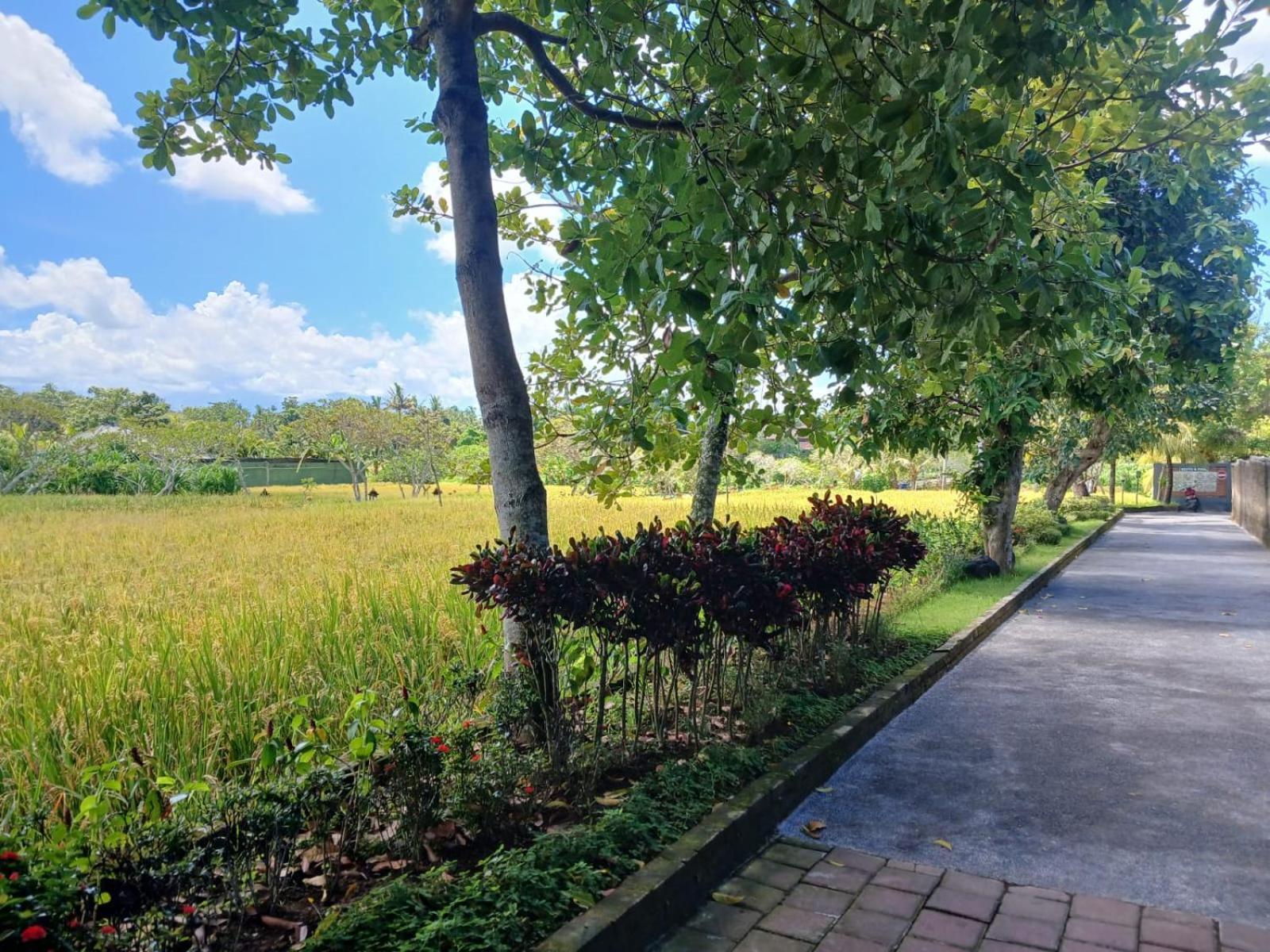 Sukawati Kartika Dahayu Private Pool Villas מראה חיצוני תמונה