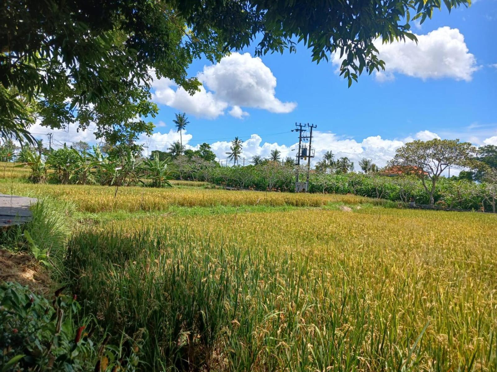 Sukawati Kartika Dahayu Private Pool Villas מראה חיצוני תמונה